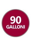Badge_90_Galloni 